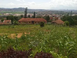 Hill Top View Plot