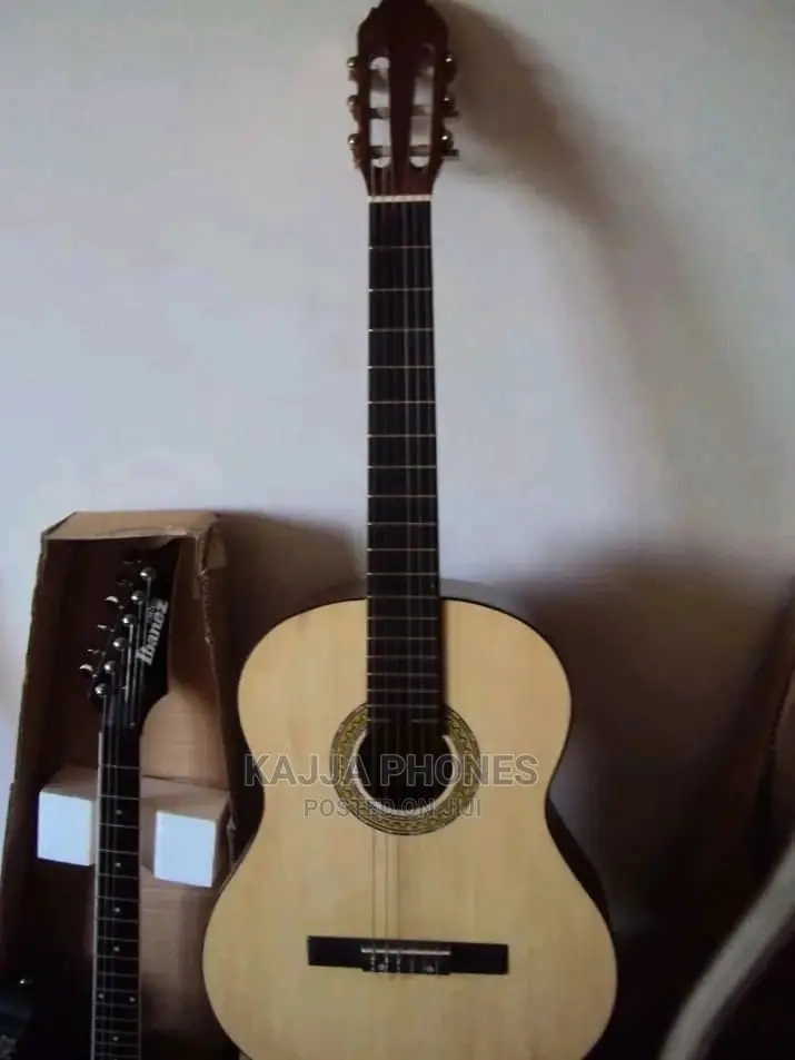 Acoustic Guitar