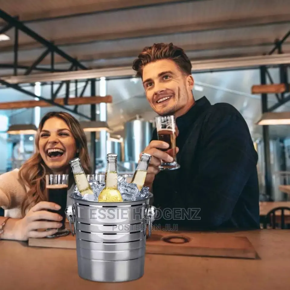 Stainless Steel Ice Buckets