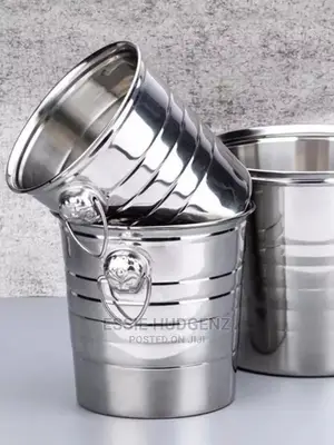 Stainless Steel Ice Buckets