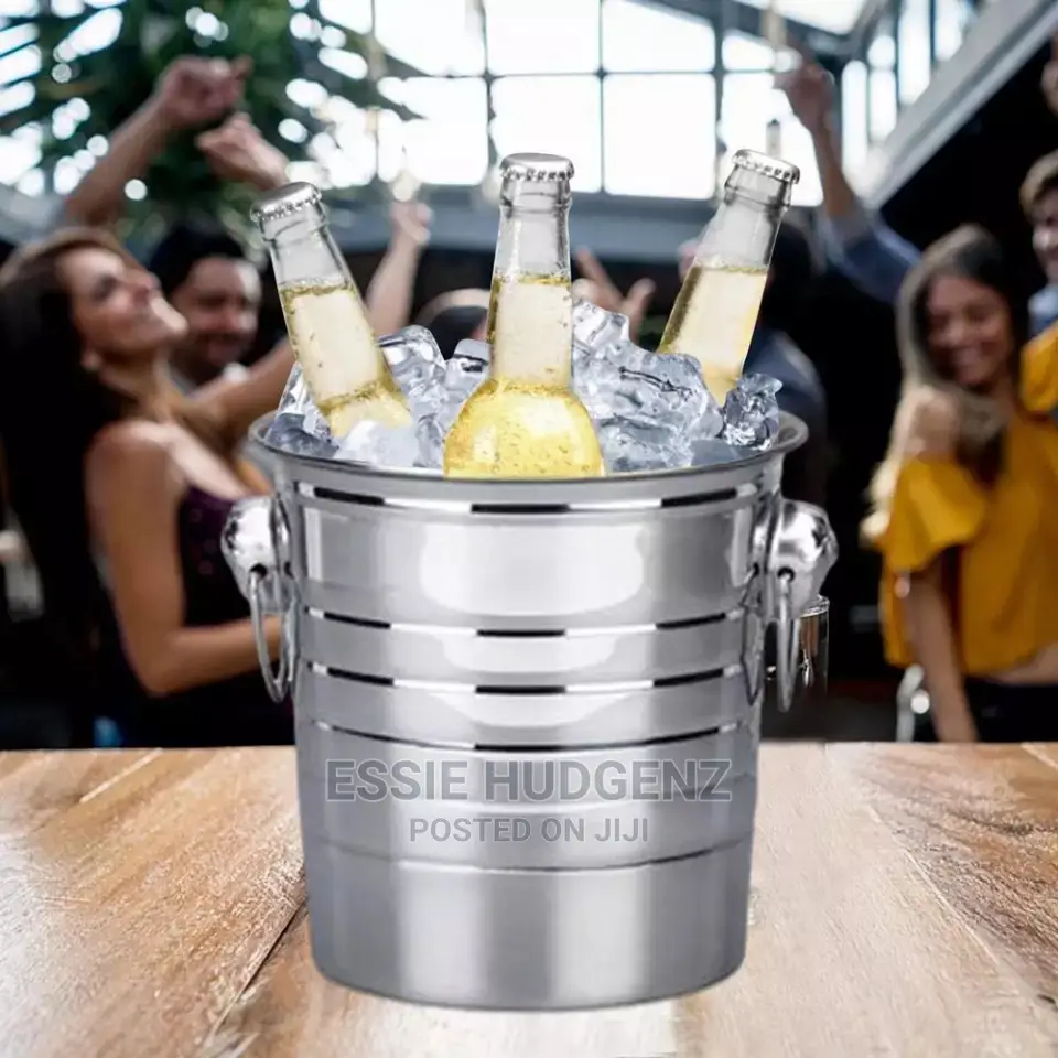 Stainless Steel Ice Buckets