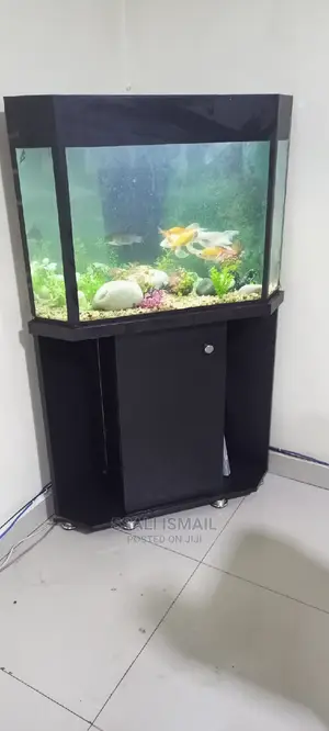 A Neat Corner Tank
