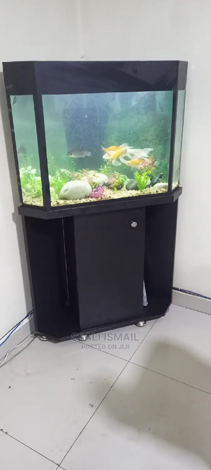 A Neat Corner Tank