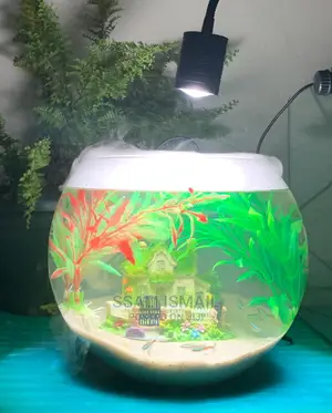 Attractive Fish Bowl
