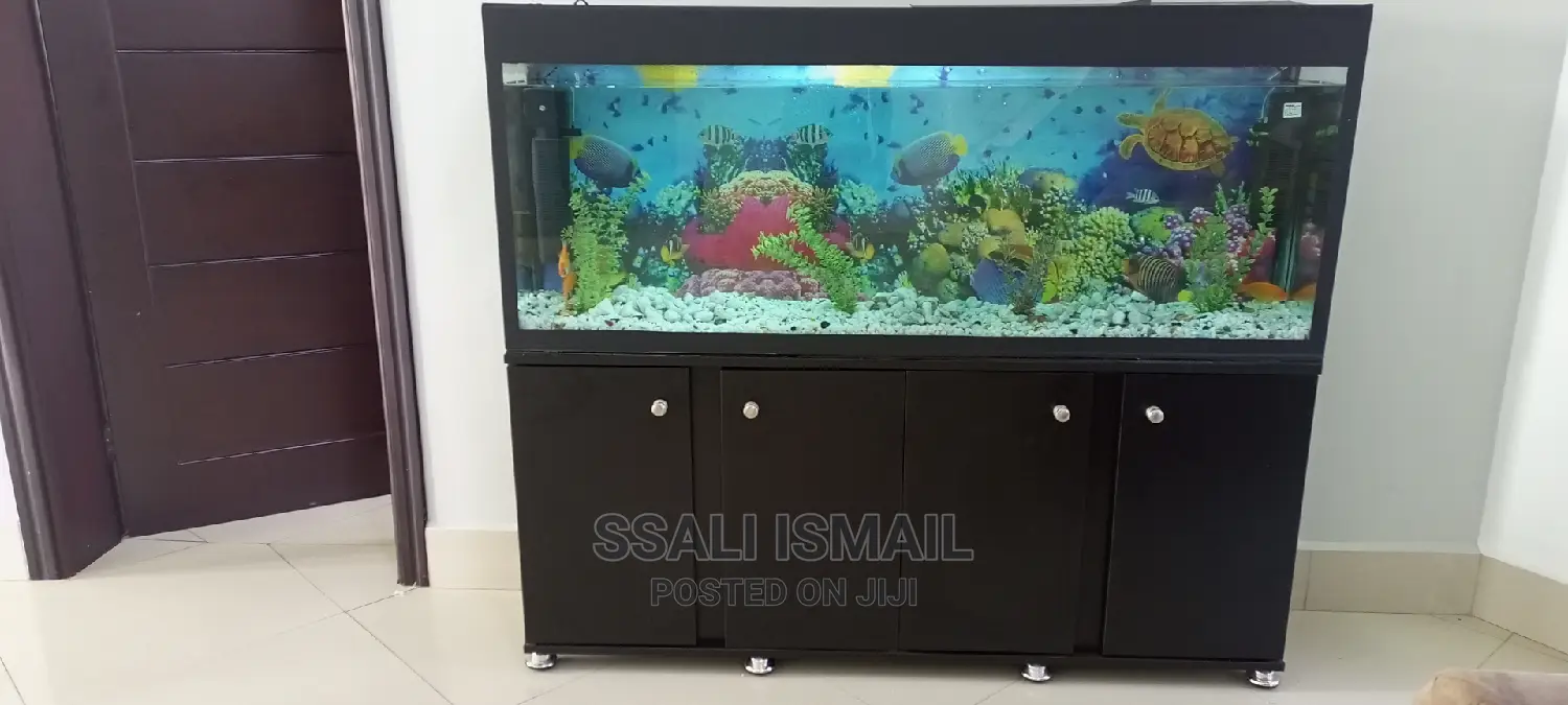 Fancy and Durable Aquarium