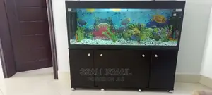 Fancy and Durable Aquarium