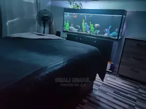 Attractive at Affordable Rate