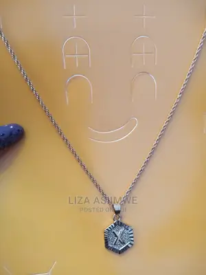 Stainless Steel Simplified Necklaces
