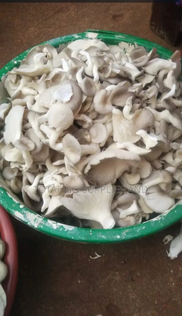 Fresh Yammy Mushrooms-1kg