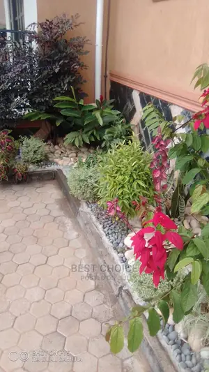Brilliant Compound Designing Ideas for Your Home.