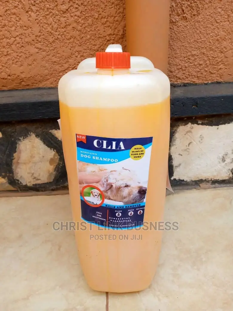 Medicated Dog SHAMPOO