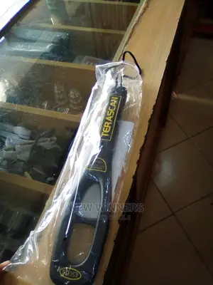 Metal Detector