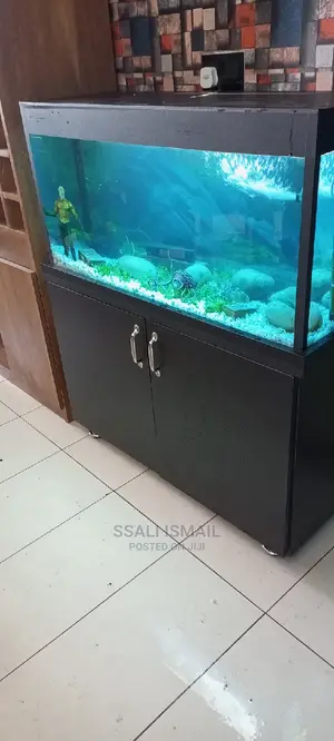 Affordable Aquarium