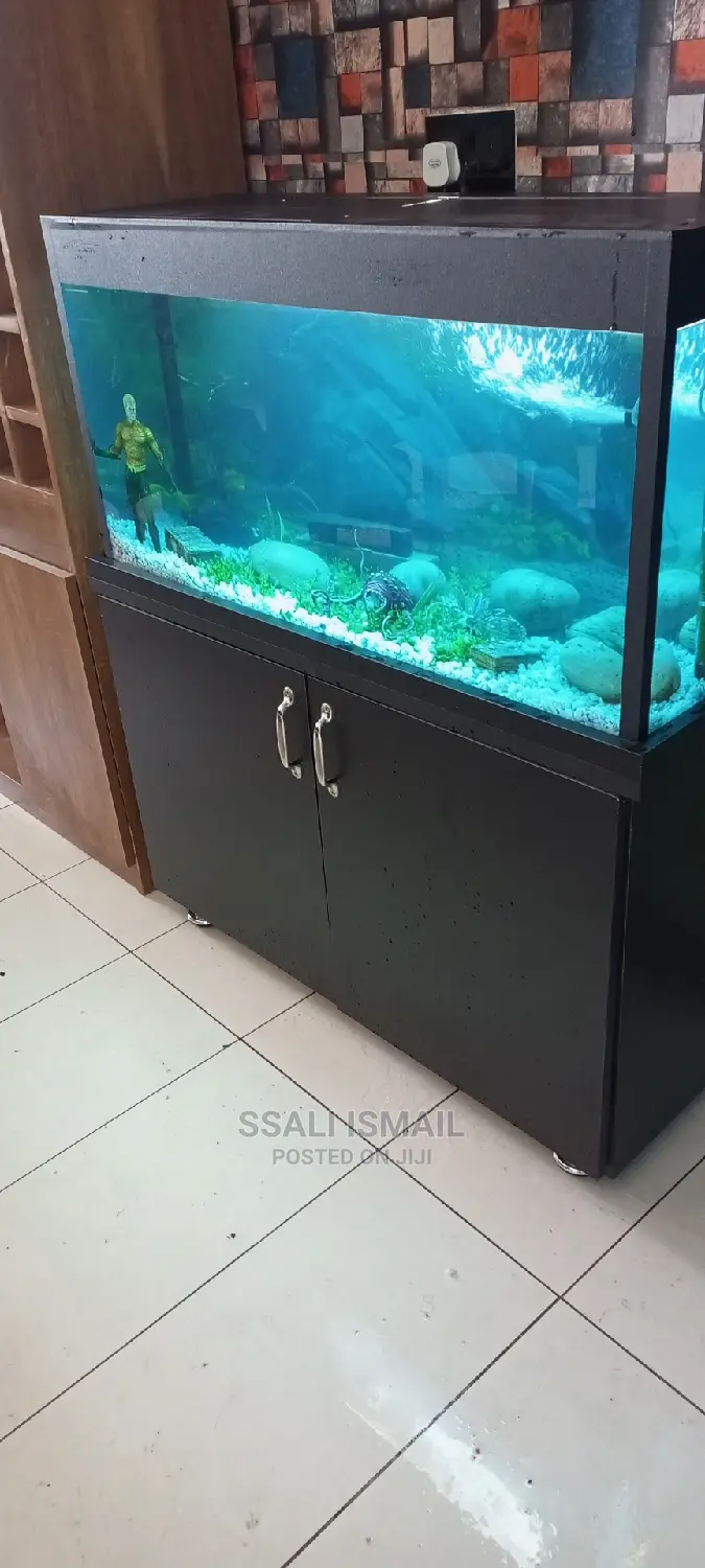 Affordable Aquarium