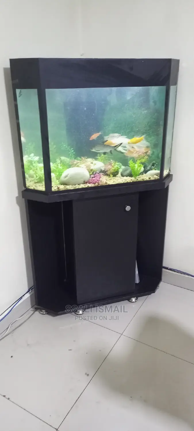 Corner Fish Tank