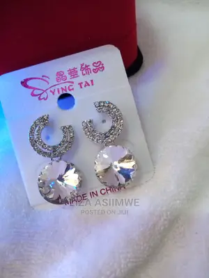 Silver Stylish Earpins