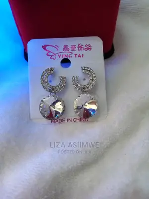 Silver Stylish Earpins