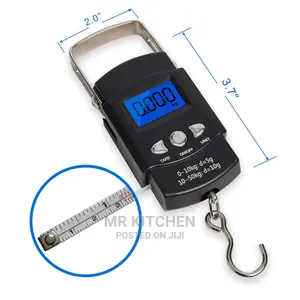 Hand Weighing Scale (10kg)