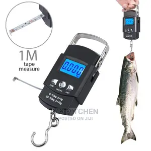 Hand Weighing Scale (10kg)