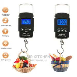 Hand Weighing Scale (10kg)