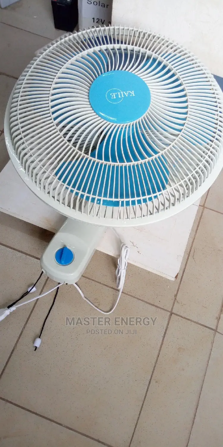 Kaile Wall Fan