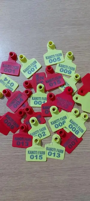 Customised Ear Tags
