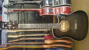 Acoustic Guitars Powered and Non Powered
