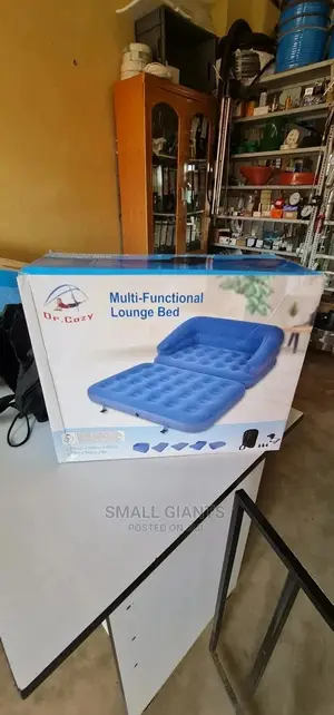 5 in 1 Inflatable Sofa Bed