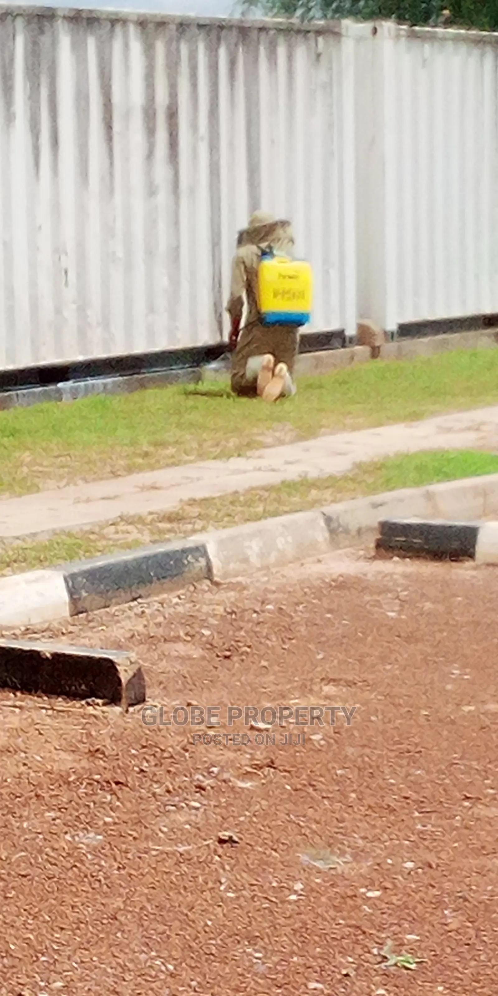 Pest Control and Fumigation Services