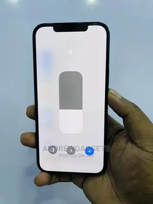 Apple iPhone 12 Pro Max 512 GB Blue