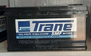 DIN100 Trane Car Battery