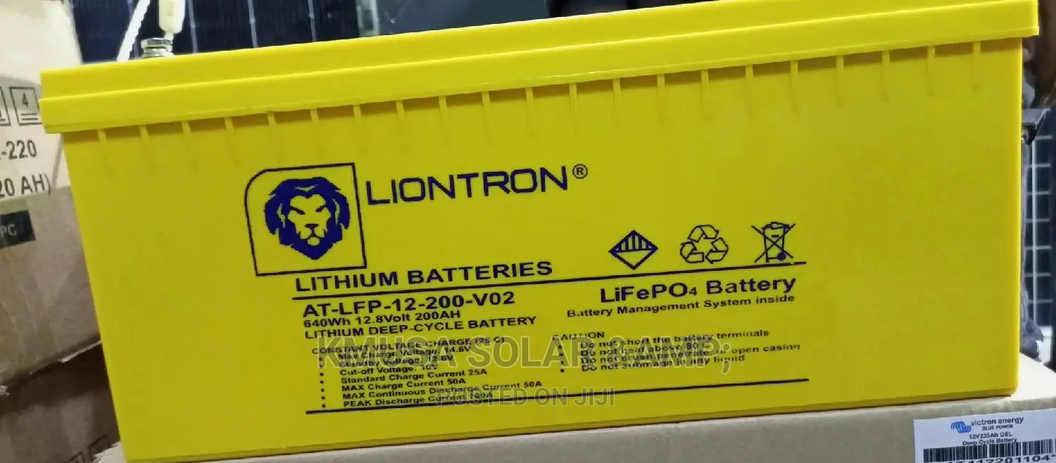 Liontron Lithium Battery