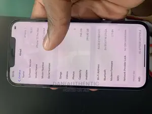 Apple iPhone 12 Pro Max 256 GB Blue