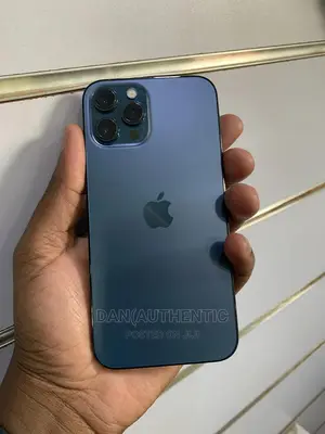 Apple iPhone 12 Pro Max 256 GB Blue