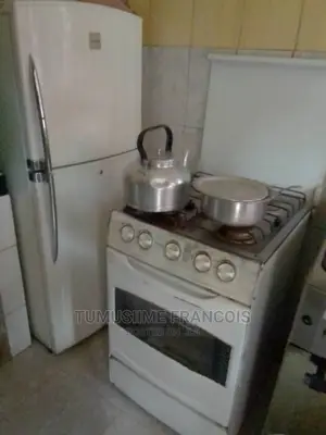 Electric Oven Repair