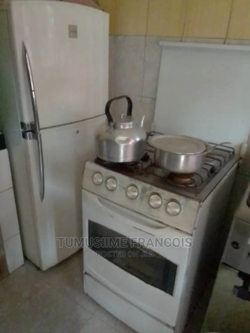 Electric Oven Repair