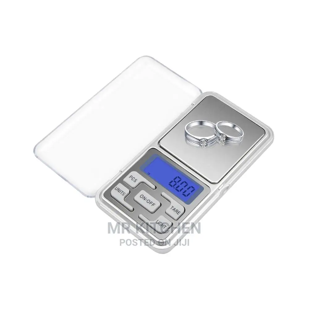 Portable Weighing Scale