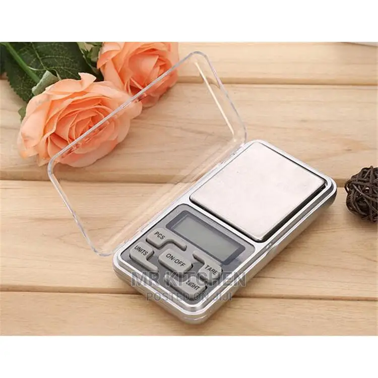 Portable Weighing Scale