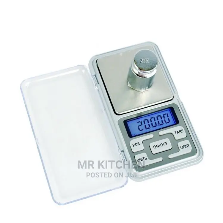 Portable Weighing Scale