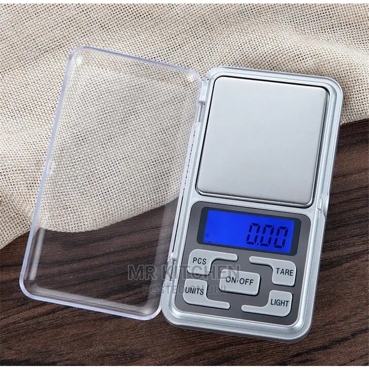 Portable Weighing Scale