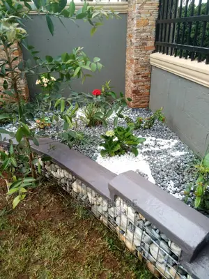 Fabolous Compound Designing and Land Scarping Services.