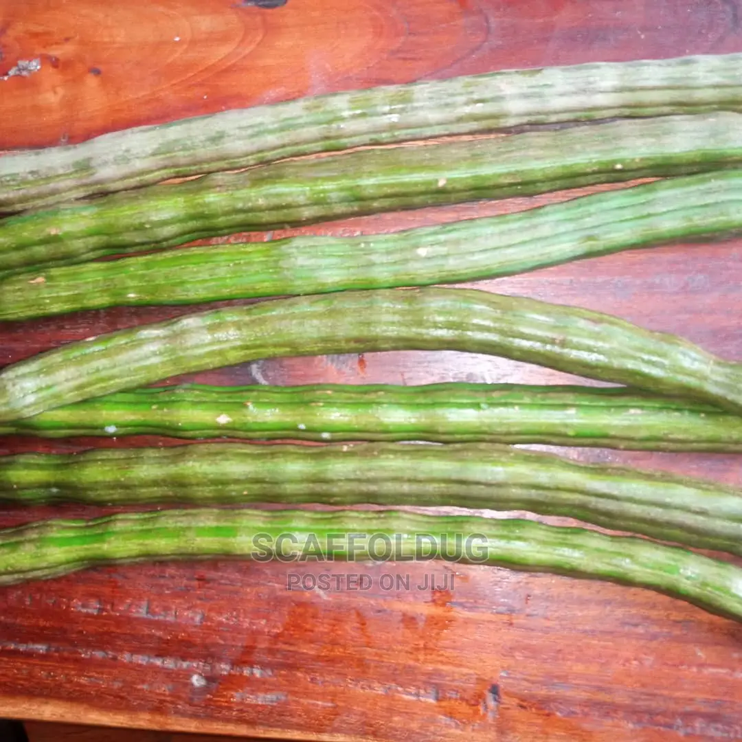 Moringa Drumsticks