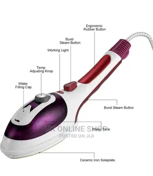 Hand Held Steam Iron