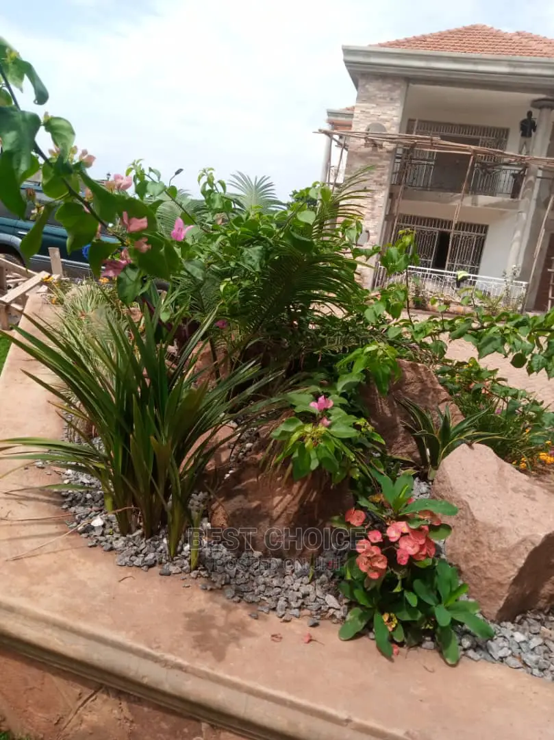 Advanced Superior Compound Designing/Land Scarping Services.