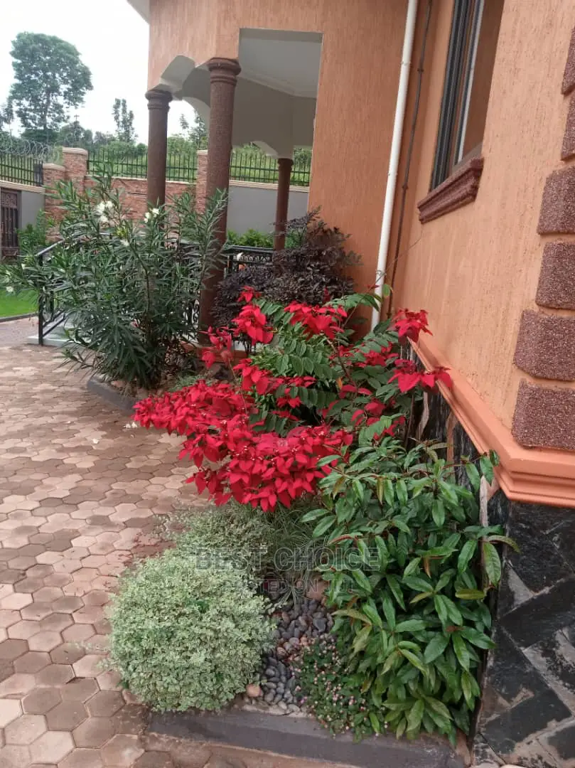 Advanced Superior Compound Designing/Land Scarping Services.