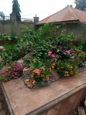 Advanced Superior Compound Designing/Land Scarping Services.
