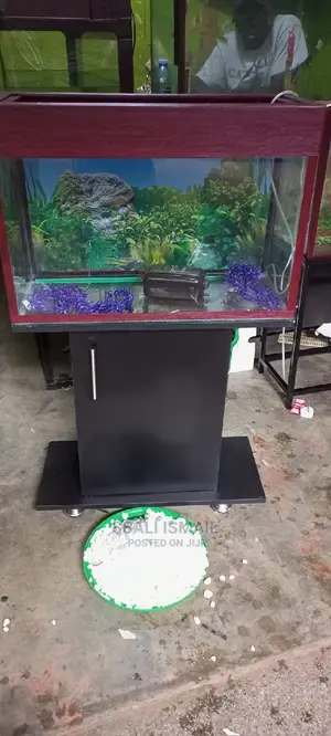 Selling the Quality and Lower Price