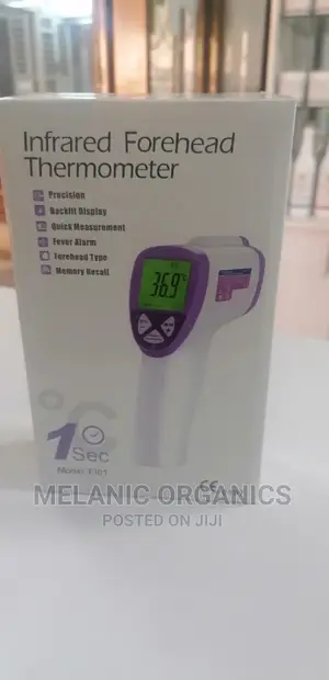 Temperature Gun