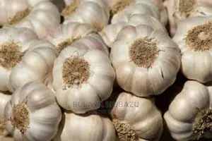 Garlic Growing Book (Guide)