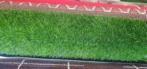Artificial Turf Grass